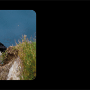 (Français) Avant-première “A la Trace” n°48