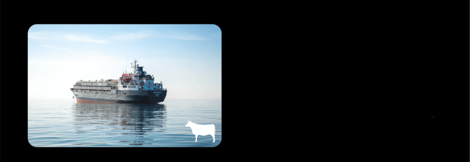 “Fureur épique” n°2