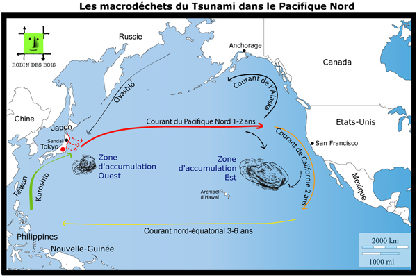 FR_macrodechets-tsunami_Robindesbois