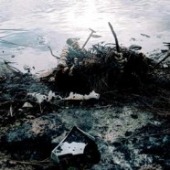 Après 44 ans d’occupation, le Torrey Canyon libère l’île d’Er