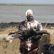 (Français) Marée noire dans l’estuaire de la Loire , reportage photos – 2008