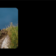 (Français) Avant-première “A la Trace” n°48