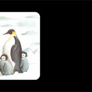 (Français) La faune antarctique sous la menace du surtourisme