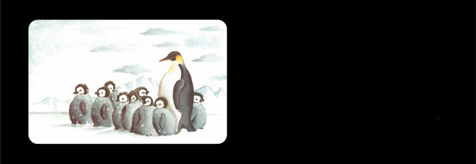 La faune antarctique sous la menace du surtourisme