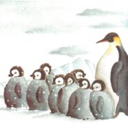Antarctic wildlife under the threat   of overtourism